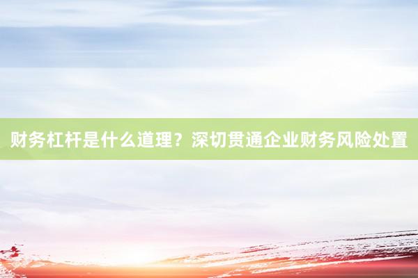 财务杠杆是什么道理？深切贯通企业财务风险处置